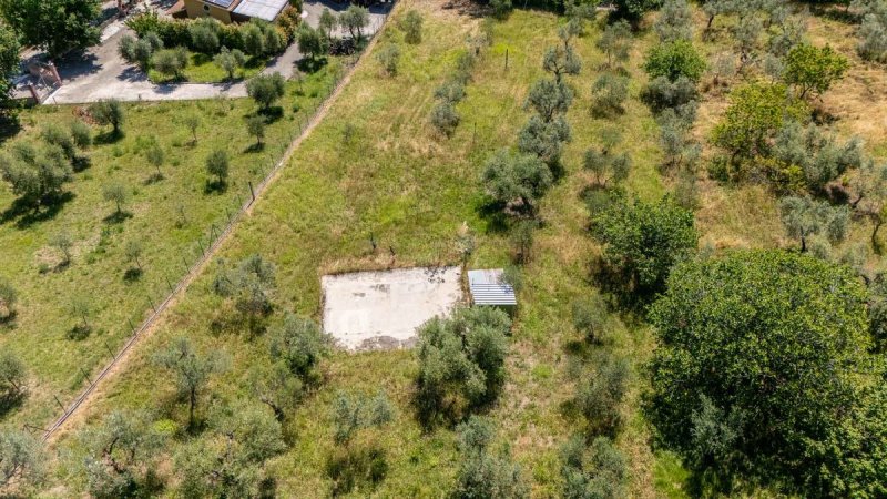 Jordbruksmark i Salisano