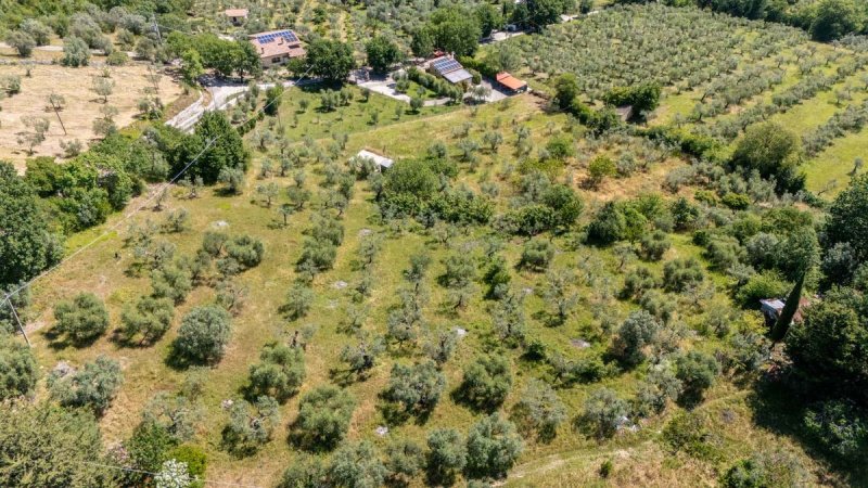Jordbruksmark i Salisano