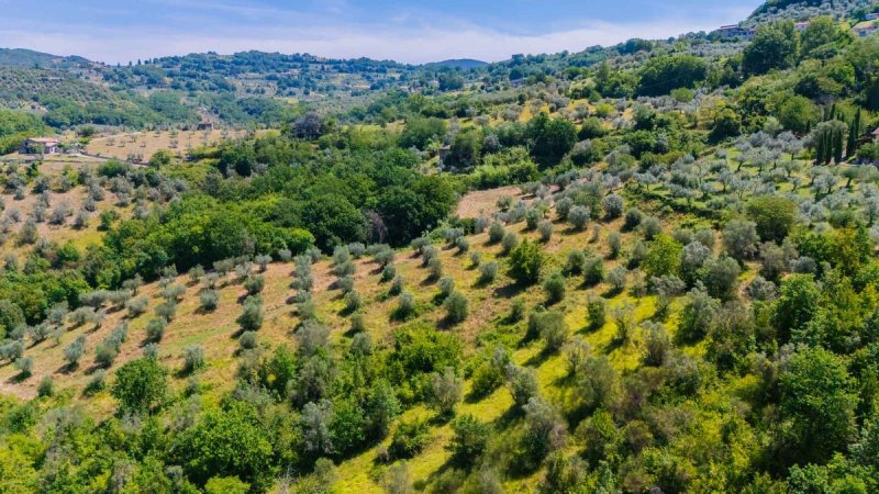 Land in Mompeo