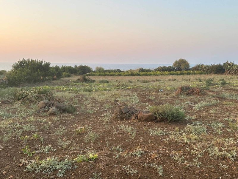 乌斯蒂卡建筑用地
