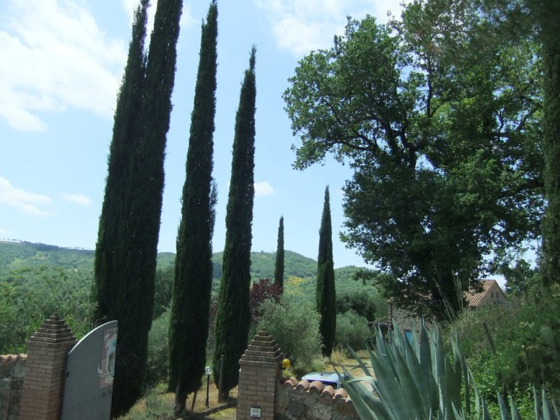 罗卡尔贝尼亚农舍