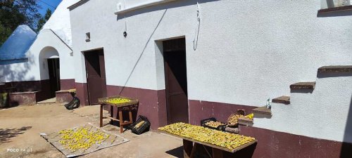 Отдельно стоящий дом в Челье-Мессапика