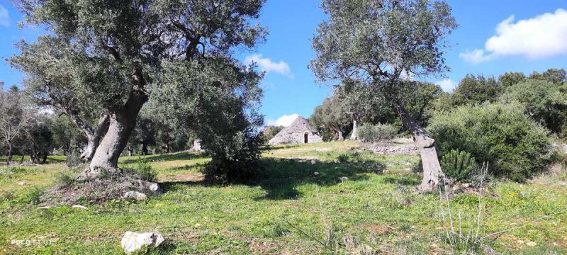 Trullo en Ceglie Messapica