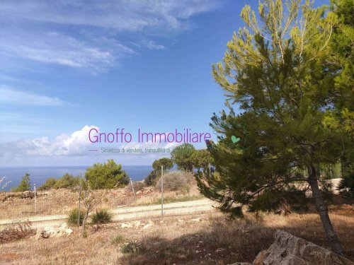 Building plot in Erice