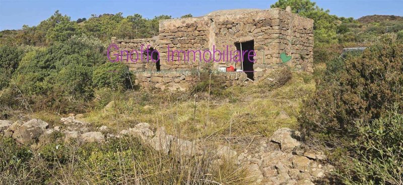 潘泰萊里亞石洞屋