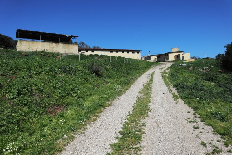 Lantgård i Putifigari