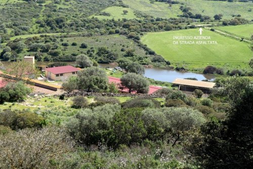 Lantgård i Putifigari