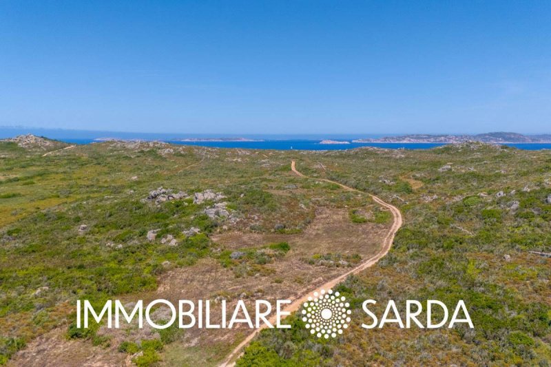 Terrain agricole à Santa Teresa Gallura