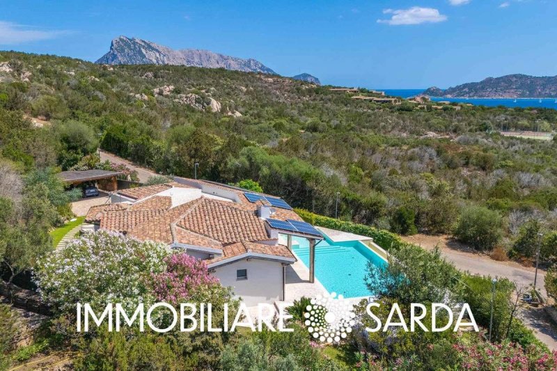 Вилла в Сан-Теодоро