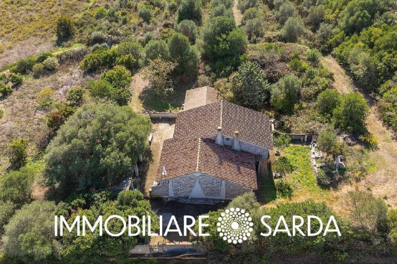 Casa independente em Luogosanto