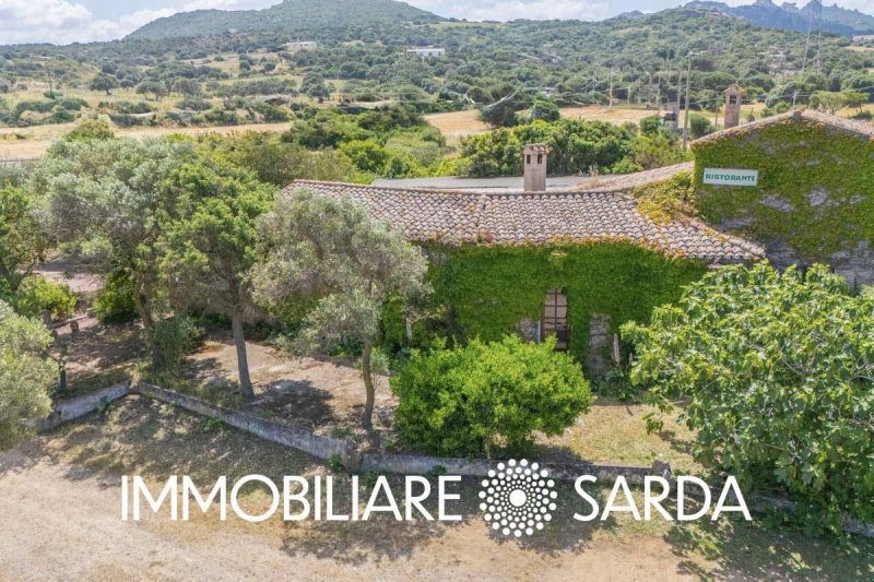 Коммерческая недвижимость в Palau