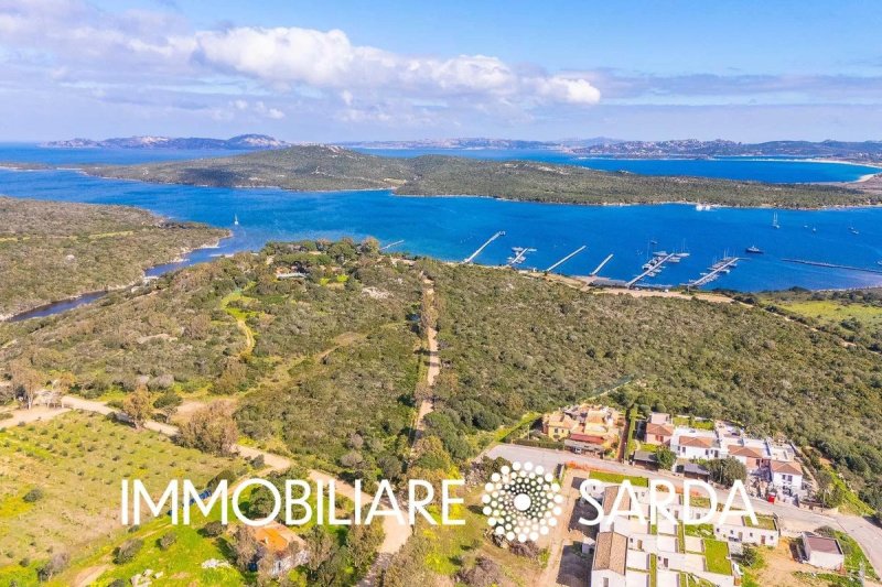 Terreno para construção em Santa Teresa Gallura