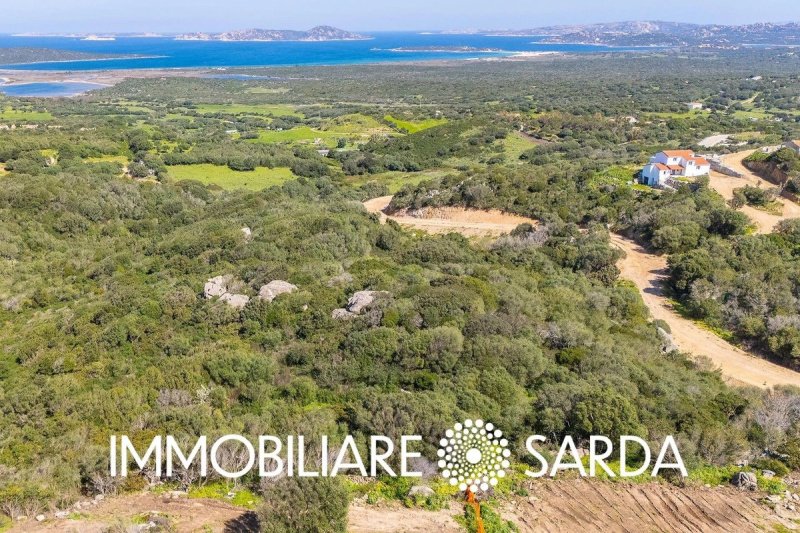 Bauland in Santa Teresa Gallura