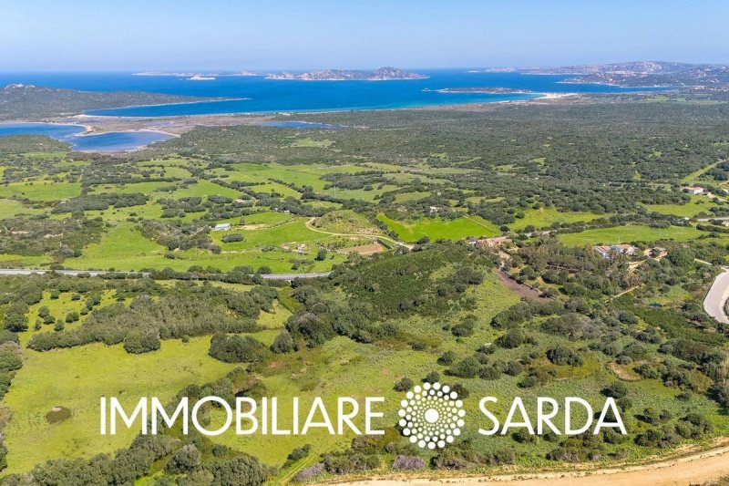 Terrain à bâtir à Santa Teresa Gallura