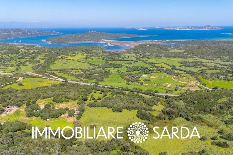 Bauland in Santa Teresa Gallura