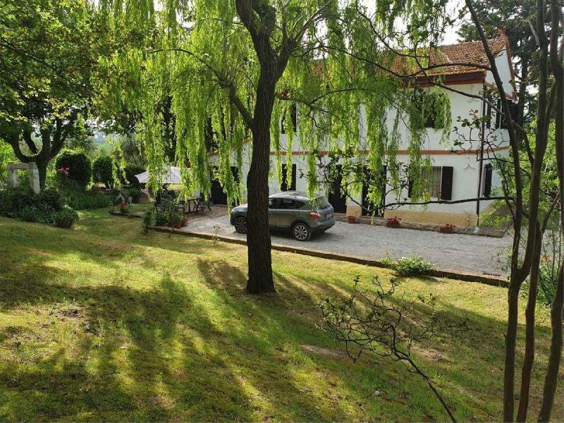 Huis in Morro d'Alba