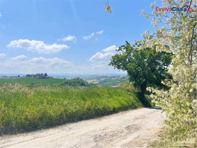 Solar em Trecastelli