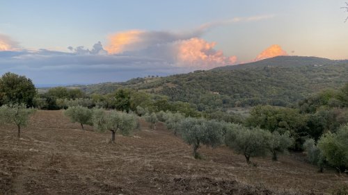 Участок земли в Скансано