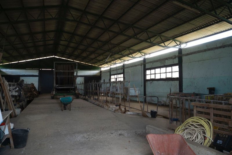 House in Anguillara Sabazia