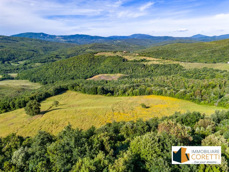 滨海马萨农业公司