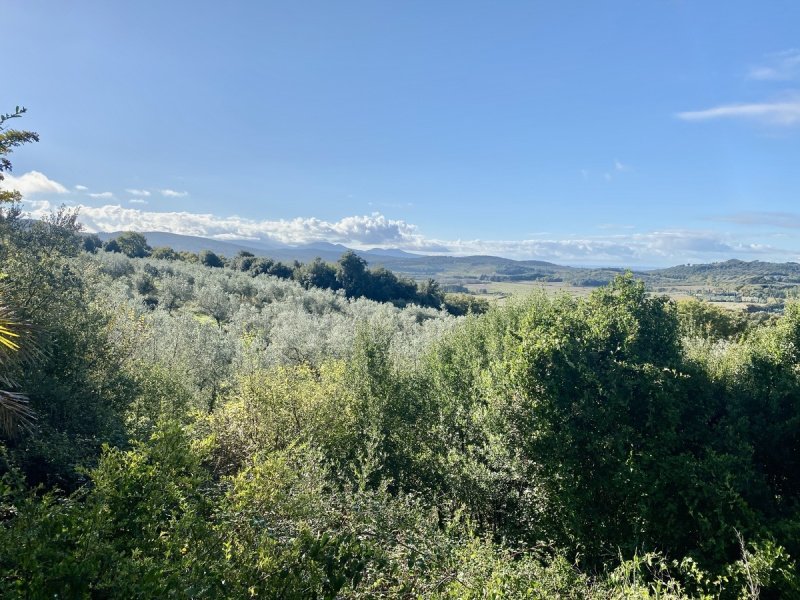 Jordbruksmark i Massa Marittima