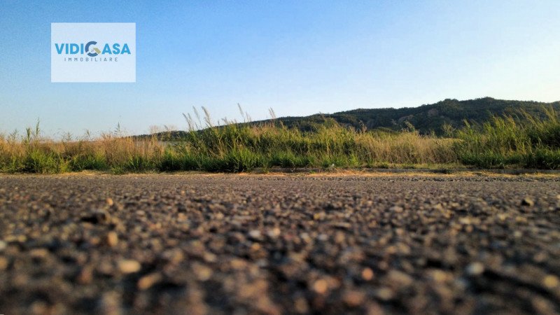 Mark i Montescaglioso