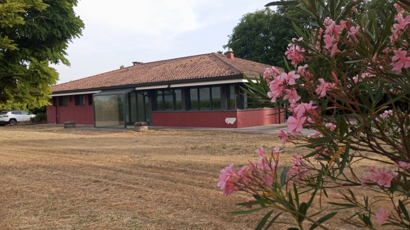 Коммерческая недвижимость в Бадия-Полезине