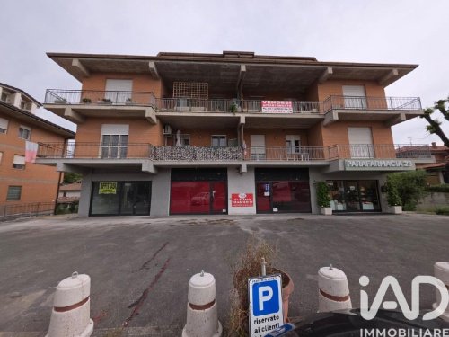 Коммерческая недвижимость в Монтеджорджо