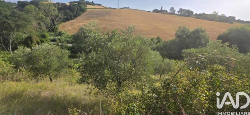 Terreno agrícola en Acquaviva Picena
