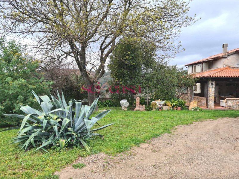 Сельский дом в Роккастрада