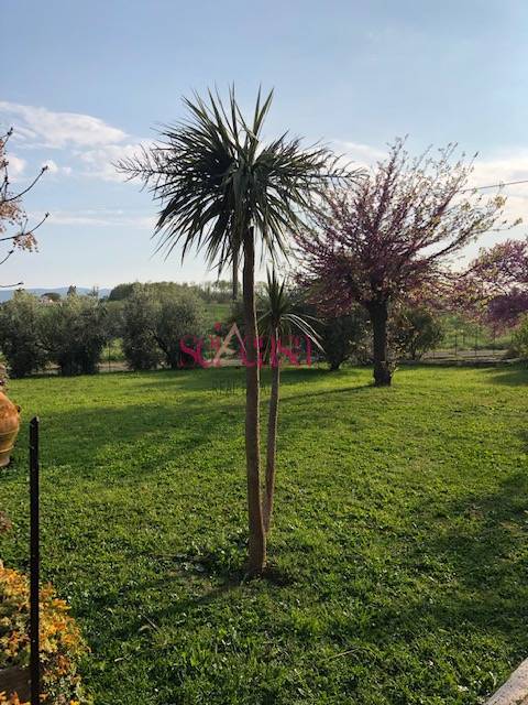 Hus på landet i Magliano in Toscana