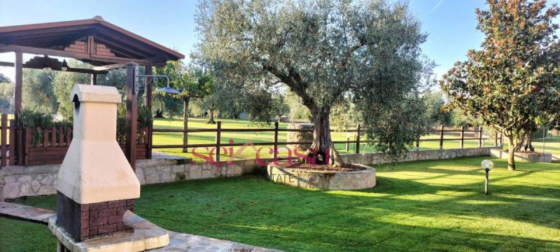 Maison individuelle à Grosseto