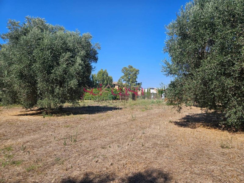 Terreno agricolo a Grosseto