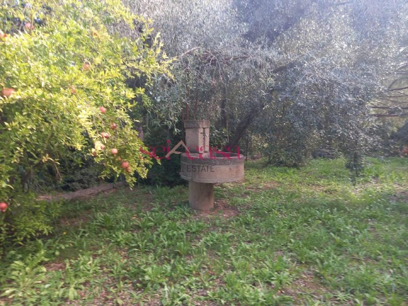 Doppelhaushälfte in Magliano in Toscana