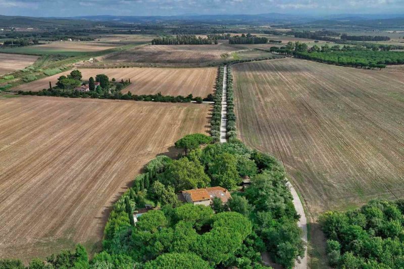 斯卡尔利诺别墅