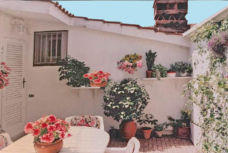 Lägenhet i Camaiore