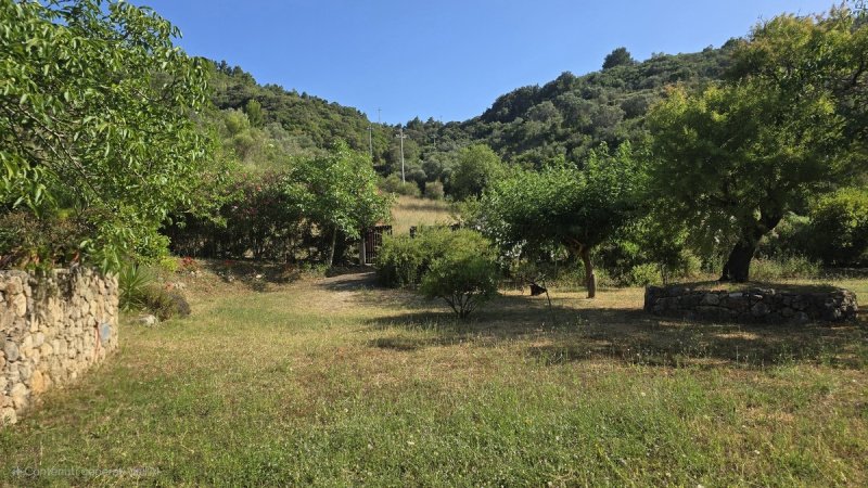 蒙泰阿真塔里奥别墅