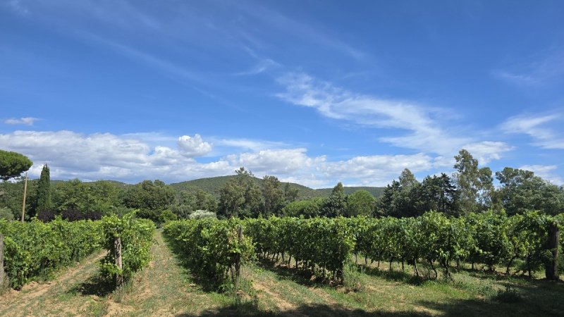 Ночлег и завтрак в Орбетелло