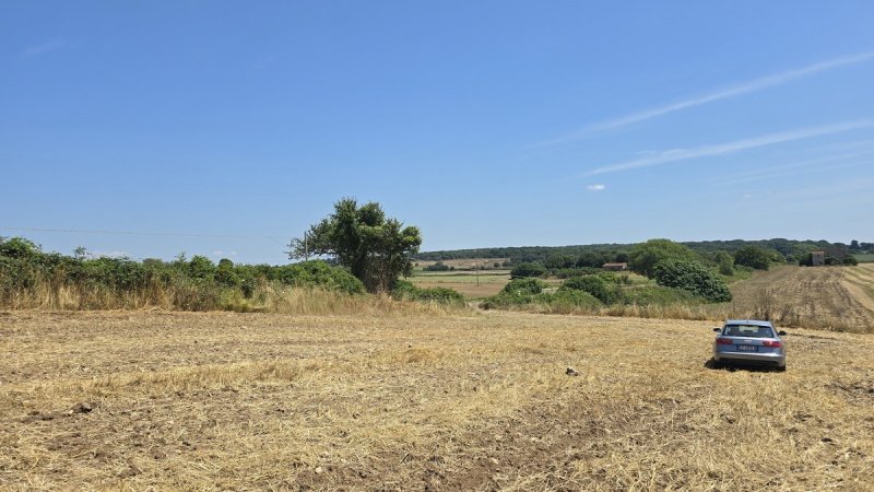 Detached house in Farnese
