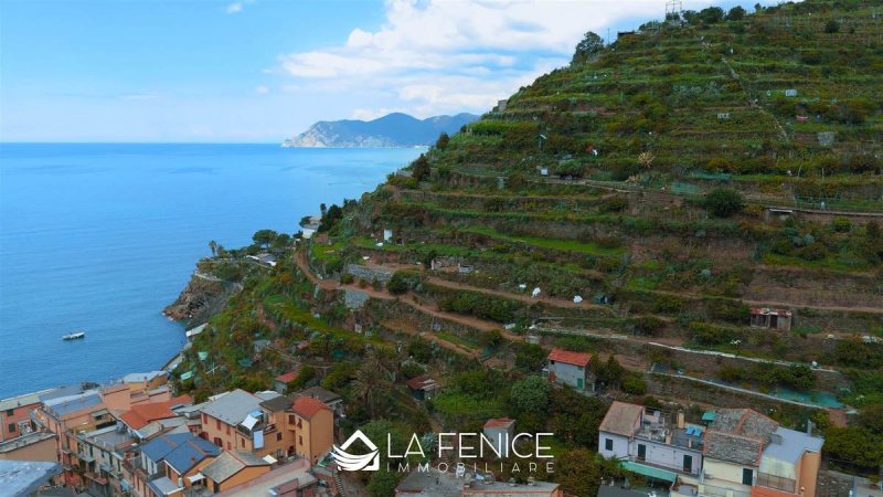 里奥马焦雷公寓