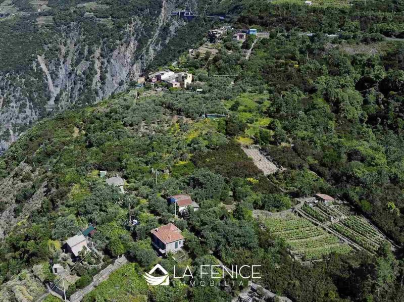 里奥马焦雷房屋