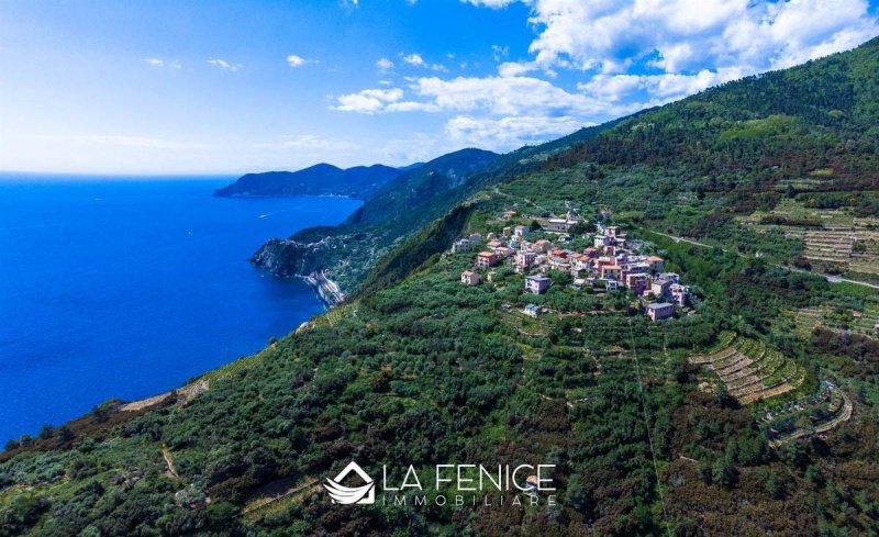 里奥马焦雷房屋