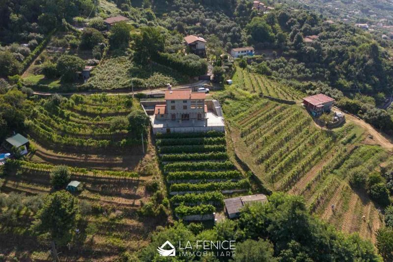 Квартира в Пьетразанта