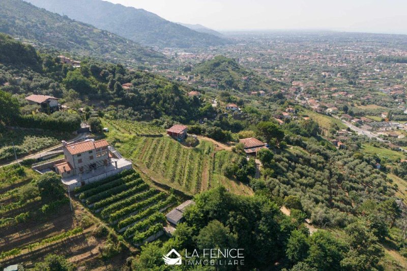 Квартира в Пьетразанта