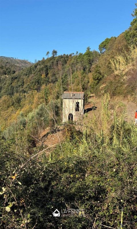 House in Levanto