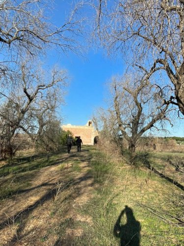 Jordbruksmark i Ugento