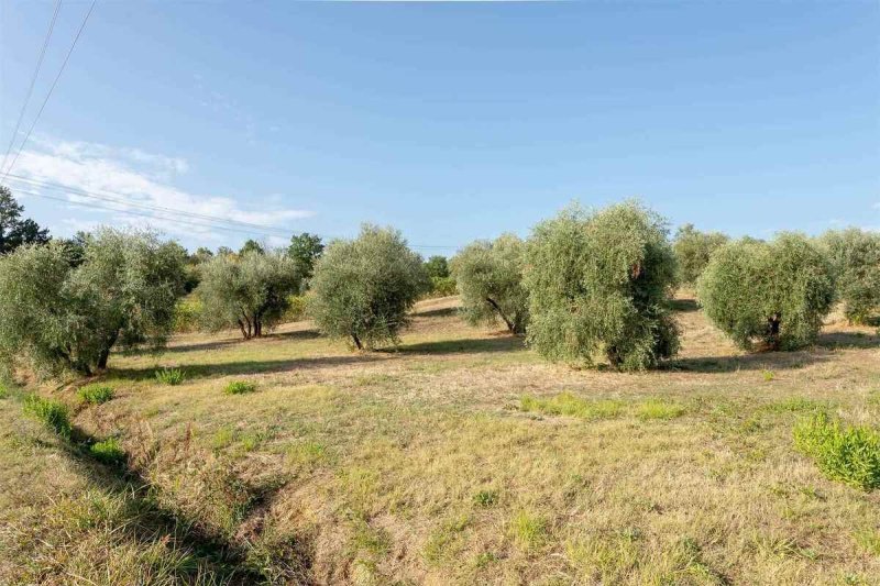 Borgo a Poggio a Caiano