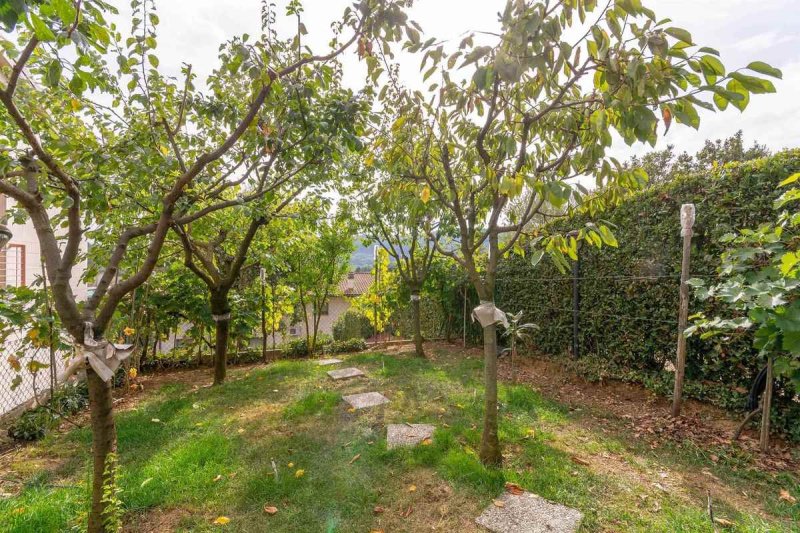 Teto/Chão em Carmignano