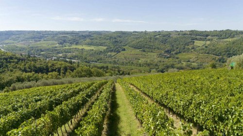 Hamlet in San Casciano in Val di Pesa