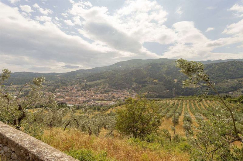 Крыша/земля в Ваяно